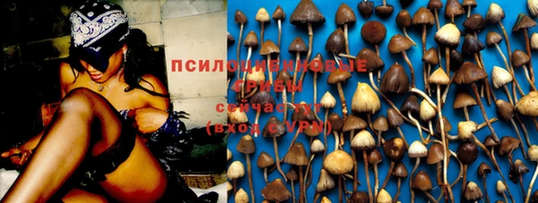 спиды Нея