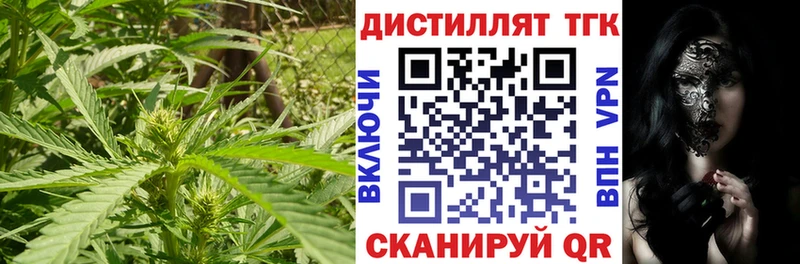 ОМГ ОМГ ТОР Касли ТГК вейп
