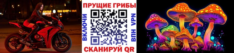 Псилоцибиновые грибы Psilocybe  купить наркоту  Касли 
